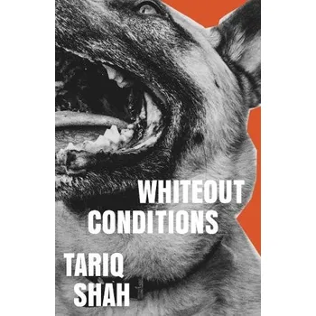 Cizojazyčná kniha Whiteout Conditions - Shah, Tariq
