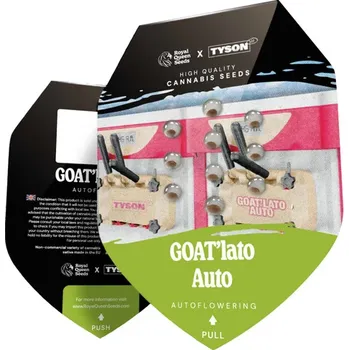 Semeno Tyson 2.0 SEEDS MIKE TYSON GOATlato AUTO – samonakvétací semena | Tyson 2.0 SEEDS Počet semen: 3