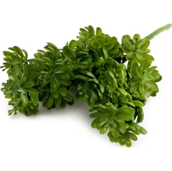 umělá květina Umělý sukulent 30 cm zelená trávová