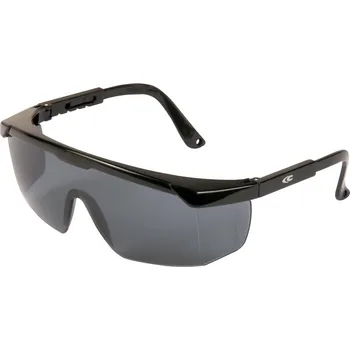 ochranné brýle Brýle COFRA STEELY E010 - B110 + Kvalitní pracovní brýle