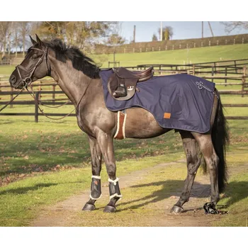 Deka pro koně Bederní deka Paddock -BRANDEB- - Tmavě modrá - 145cm
