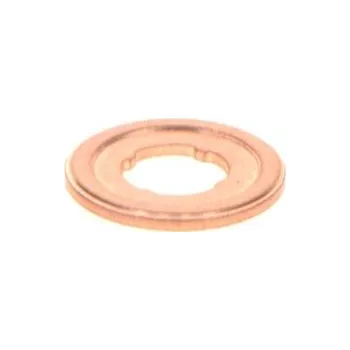 Systém vstřikování Těsnicí kroužek, vstřikování BOSCH F 00R C00 309