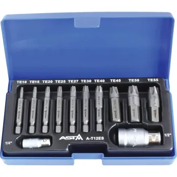 Nářadí pro automobil ASTA A-T12ES vytahováky poškozených šroubů 12 ks