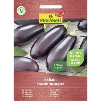 Semeno Lilek Falcon F1 FloraSelf Select