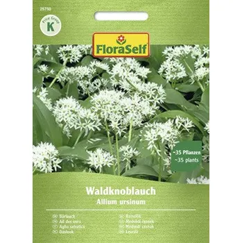Semeno Medvědí česnek FloraSelf
