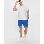 Tommy Jeans Sportovní kraťasy Tjm Entry Graphic DM0DM19153 Modrá Regular Fit XS