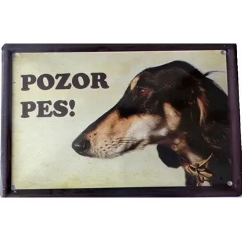 Plechová cedule Plechová psí cedule, Saluki perský chrt, Pozor pes