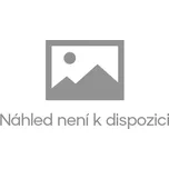 ČASODĚJOVÉ 1 KLÍČ K ČASU - Ščerba