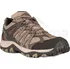 Dámská treková obuv Merrell Accentor 3 Sport GTX J135446