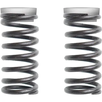 Příslušenství pro elektrokoloběžku Sencor Scooter Front Springs 23S 2 ks