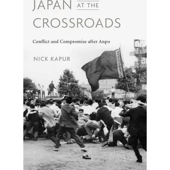 Japan at the Crossroads - Kapur, Nick