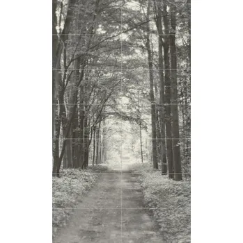 Obklad TUBADZIN ALL IN WHITE 6002476 119,8 x 209,8 x 1 šedá 1 set