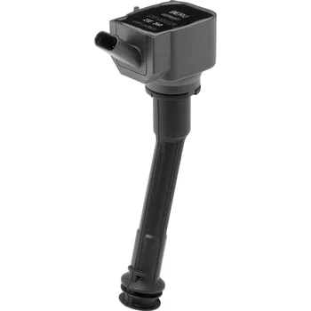 Zapalovací cívka Zapalovací cívka BorgWarner (BERU) ZSE260