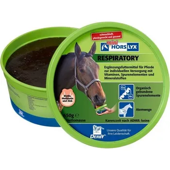 solný liz Horslyx Respiratory 650g