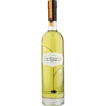 Absinth La Maison Fontaine Verte 0,7 l
