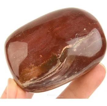 Přírodní kámen Hladký kámen zkamenělé dřevo (Madagaskar) 165g