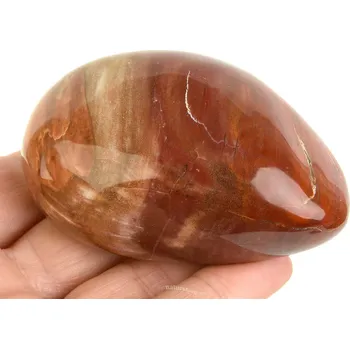 Přírodní kámen Hladký kámen zkamenělé dřevo (Madagaskar) 179g