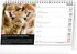 Kalendář Presco Group Miroslav Bobek stolní kalendář Za zvířaty do zoo 2024