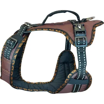 Postroj pro psa Postroj EASY PEASY ROYAL (S, hnědá-hnědá)