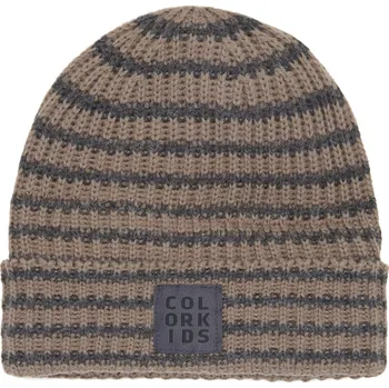 Pokrývka hlavy Dětská zimní čepice Color Kids Fossil Obvod hlavy: 50 cm