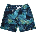 FANNIFEN Pánské koupací šortky FOREST J20522B Velikost: XL