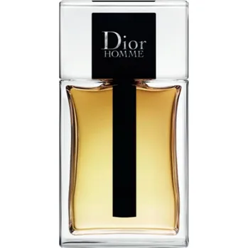 Pánský parfém Christian Dior Homme 2020 toaletní voda pánská Velikost: 100 ml již nová verze 2020