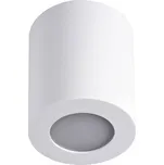 Kanlux 29241 Sani stropní svítidlo GU10, Par 16 10 W bílá