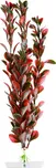 Red Ludwigia 25-28 cm