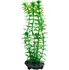 Dekorace do akvária Tetra Anacharis S 15 cm