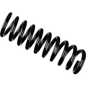 Autodíl Pružina podvozku, , 2023241904, A2023241904, BILSTEIN, 36-226160