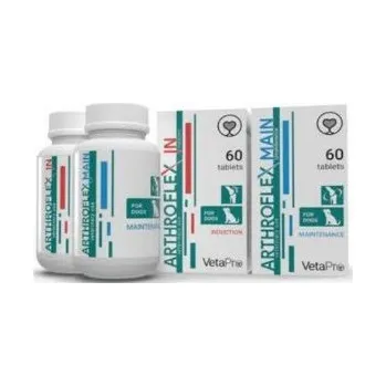 Arthroflex IN 60 tbl.