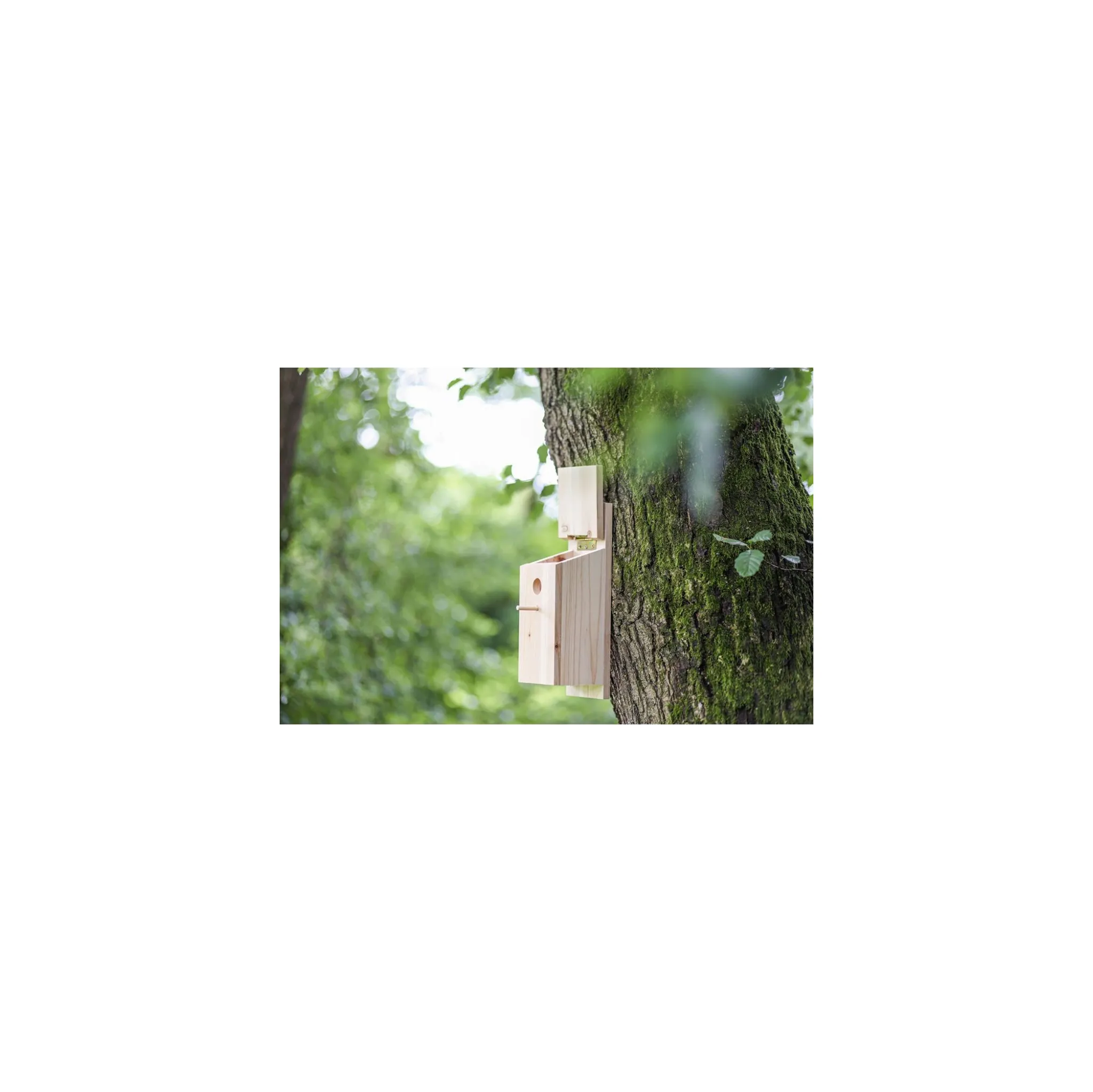 Fotografie 2 - Hnízdní budka Selko Sada pro kutily budka pro sýkorky 36&nbsp;x&nbsp;12&nbsp;x&nbsp;14&nbsp;cm