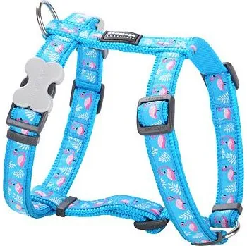 Postroj pro psa Postroj pro psa malý Red Dingo 12mm/30-44cm Flamingo Turquoise