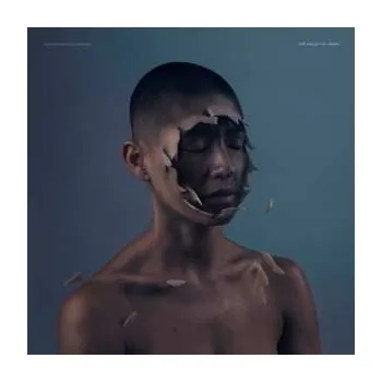 Zahraniční hudba LP Manchester Orchestra: The Valley Of Vision 2023