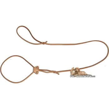 Vodítko pro psa MZ - potřeby pro lovecké psy Kožené předváděcí vodítko se stahovací zarážkou z kůže Přírodní 6mm