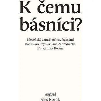 K čemu básníci? - Aleš Novák
