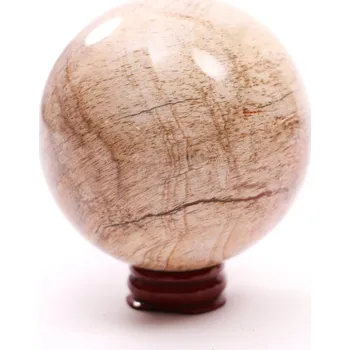 Drahý kámen Magieprirody.cz Koule Zkamenělé dřevo 638 g - 78 mm + dřevěný podstavec #A272