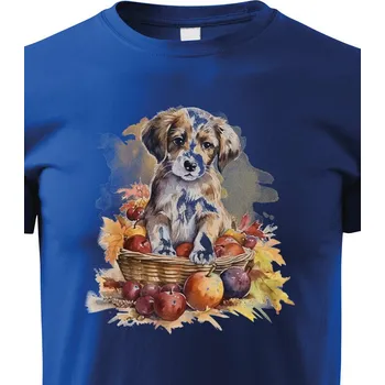 Chlapecké tričko Dětské tričko Pejsek v košíku, Barva Modrá, Velikost 110 cm/4 roky, Canvas Dětské tričko Bezvatriko.cz 2129