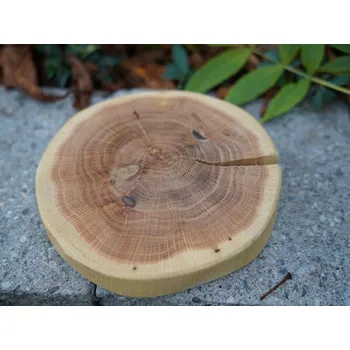 Kuchyňské prkénko Treesome Dubové kulaté přírodní prkénko 15-20 cm