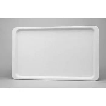 Podnos jídelní GN 1/1 53x32,5 cm PP