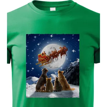 Chlapecké tričko Dětské tričko Santovy saně, Barva Zelená, Velikost 110 cm/4 roky, Canvas Dětské tričko Bezvatriko.cz 2128