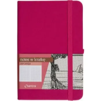 Set školních potřeb Notes A7 z gumką Secesja kratka różowy (PL)