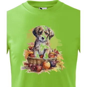 Chlapecké tričko Dětské tričko Pejsek v košíku, Barva Jablková zelená, Velikost 158 cm/12 roků, Canvas Dětské tričko Bezvatriko.cz 2129