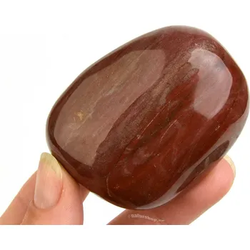 Sběratelství Kámen zkamenělé dřevo 143g