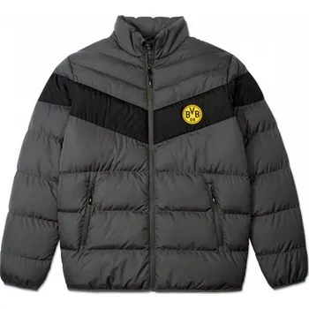 Fan-shop Bunda BORUSSIA DORTMUND Padded velikost: XXL