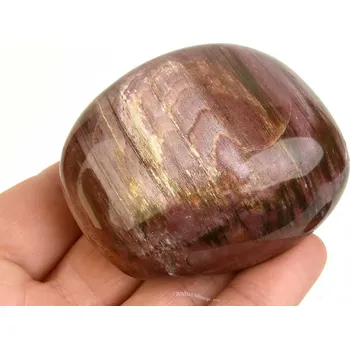 Přírodní kámen Kámen zkamenělé dřevo 158g