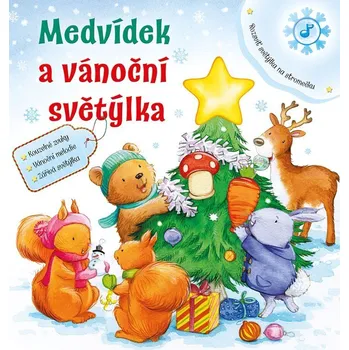 Medvídek a vánoční světýlka - 978-80-266-1874-4