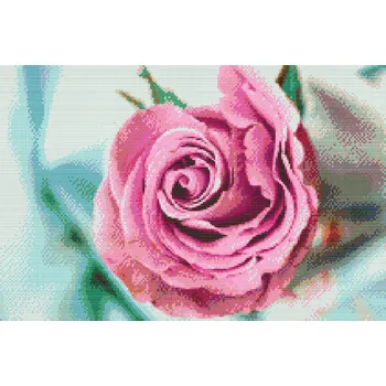 Diamantové malování Diamantové malování - Hlavička růže Velikost: 40x60cm, Rámování: Pouze srolované plátno, Diamanty: Kulaté