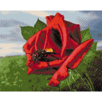 Diamantové malování Diamantové malování - Včela na růži Velikost: 40x50cm, Rámování: Pouze srolované plátno, Diamanty: Čtvercové