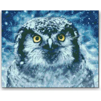 Diamantové malování Diamantové malování - Sova Velikost: 30x40cm, Rámování: Pouze srolované plátno, Diamanty: Kulaté